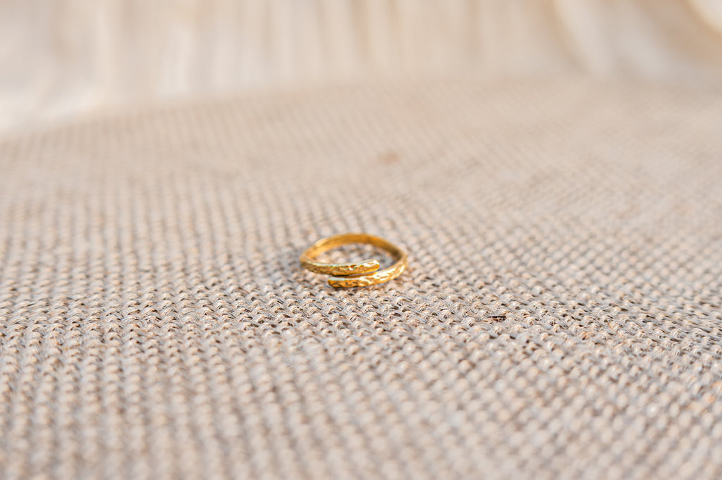 Ring dubbel