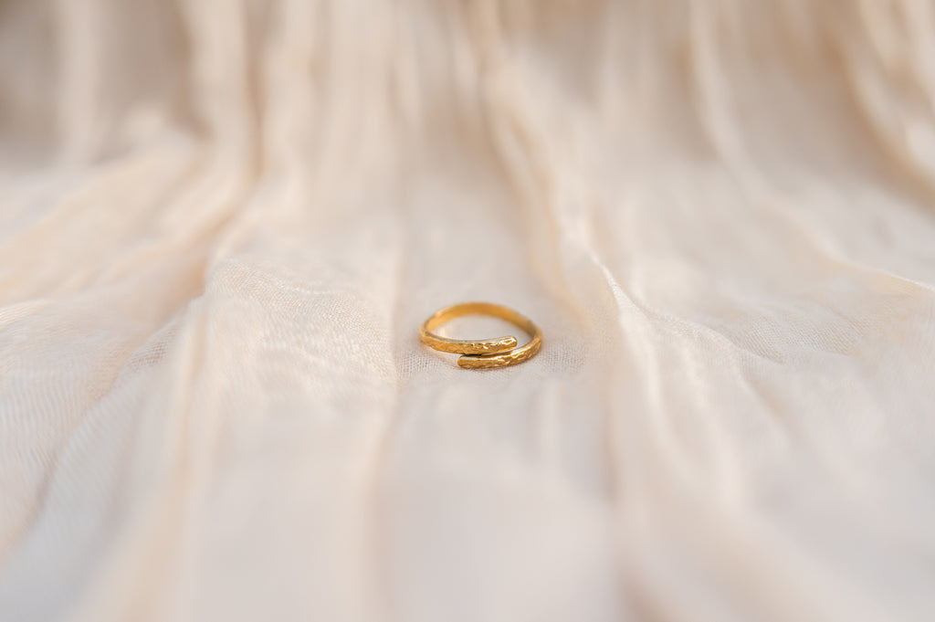 Ring dubbel